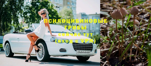 гидропоника Сясьстрой