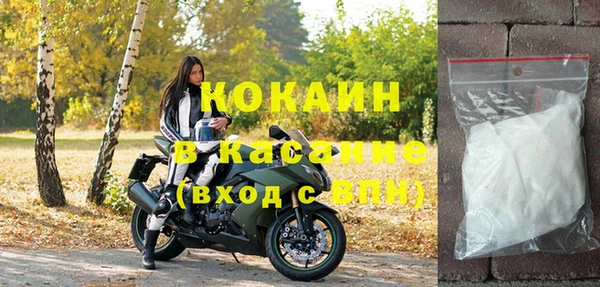 стафф Богданович