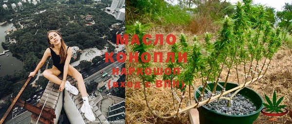стафф Богданович